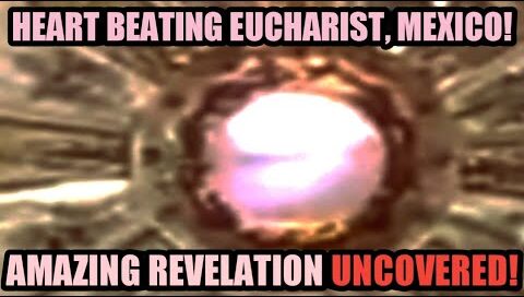Heart Beating Eucharist, Mexico! Further Analysis Reveals Amazing Similarity to Heart Ultrasound ❤!