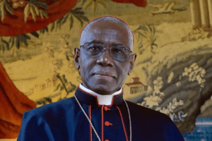 Cardinal Sarah: We are Tempted To Build A Human Church! But The Church Is Not Ours!