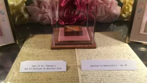 St. Thérèse’s “Act of Oblation to Merciful Love”| Do All for the Love of God