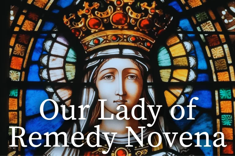 Powerful Novena to Our Lady of Good Remedy