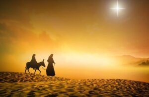 St. Andrew Christmas Novena | Prepare Your Heart!