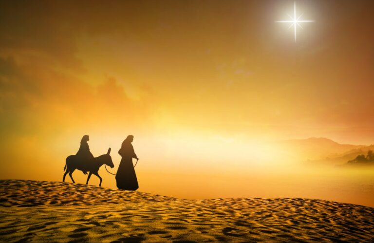 St. Andrew Christmas Novena | Prepare Your Heart!