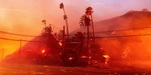 Catholic Man Protected His Home From L.A Wildfire Through Epiphany House Blessing