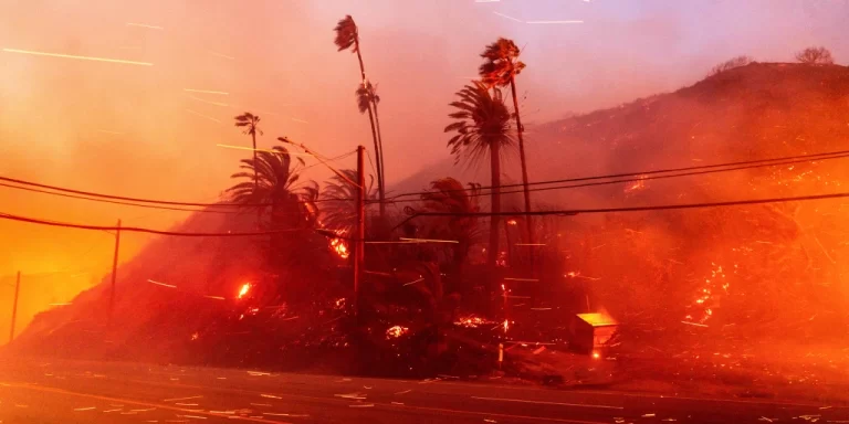 Catholic Man Protected His Home From L.A Wildfire Through Epiphany House Blessing