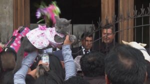 VIDEO! Pets Receive Catholic Blessing