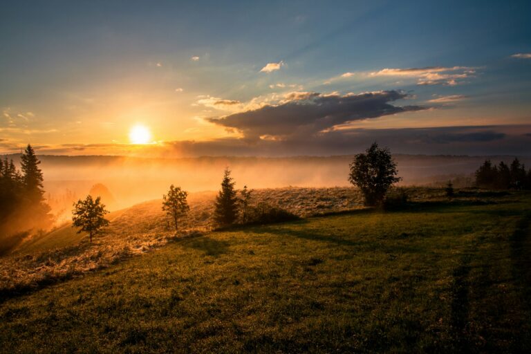 Save This! Powerful Morning prayer before starting work