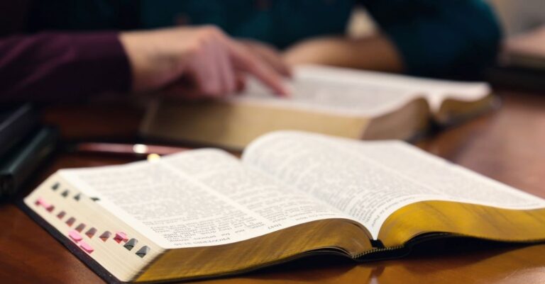 Which Bible Should We Read?