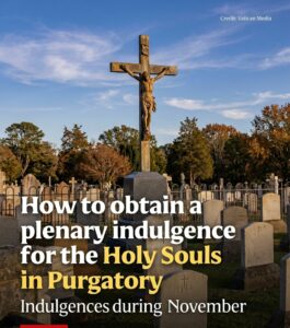 November Plenary Indulgences For Holy Souls!