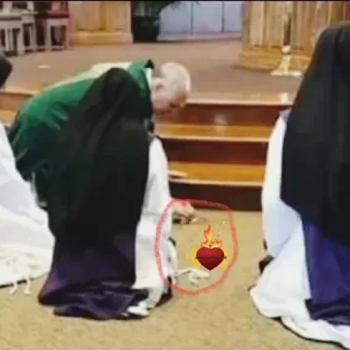 Viral Video: A Priest Spills The Precious Blood During Mass. This is what happens next! Let us make reparation!!!