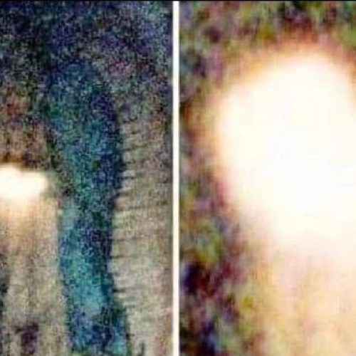 Viral Video: Truly Astonishing MIRACLE In GUADALUPE BASILICA During A Mass For Martyr Aborted Children!