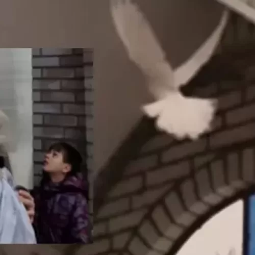 Viral Video! The Holy Spirit Manifests As A DOVE Above Baptism Font in Ukraine! Epiphany 19 JAN 2022!