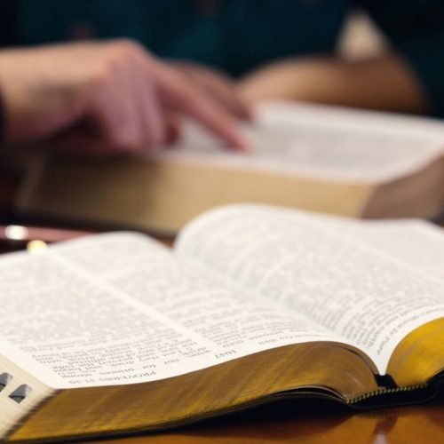 Which Bible Should We Read?