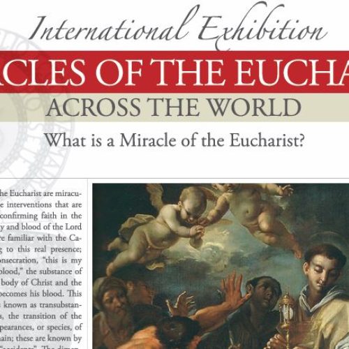 FREE DOWNLOAD| The Eucharistic Miracle of the World by Bl Carlo Acutis