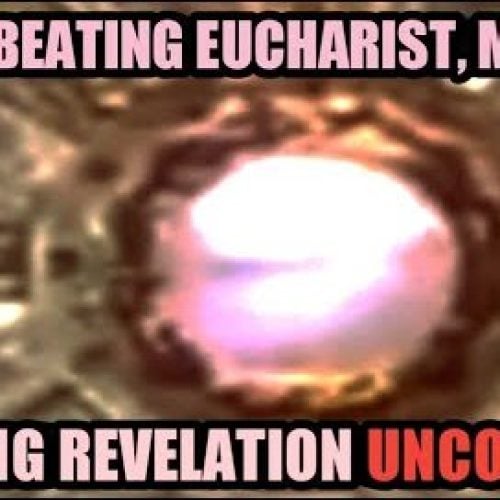 Heart Beating Eucharist, Mexico! Further Analysis Reveals Amazing Similarity to Heart Ultrasound ❤!